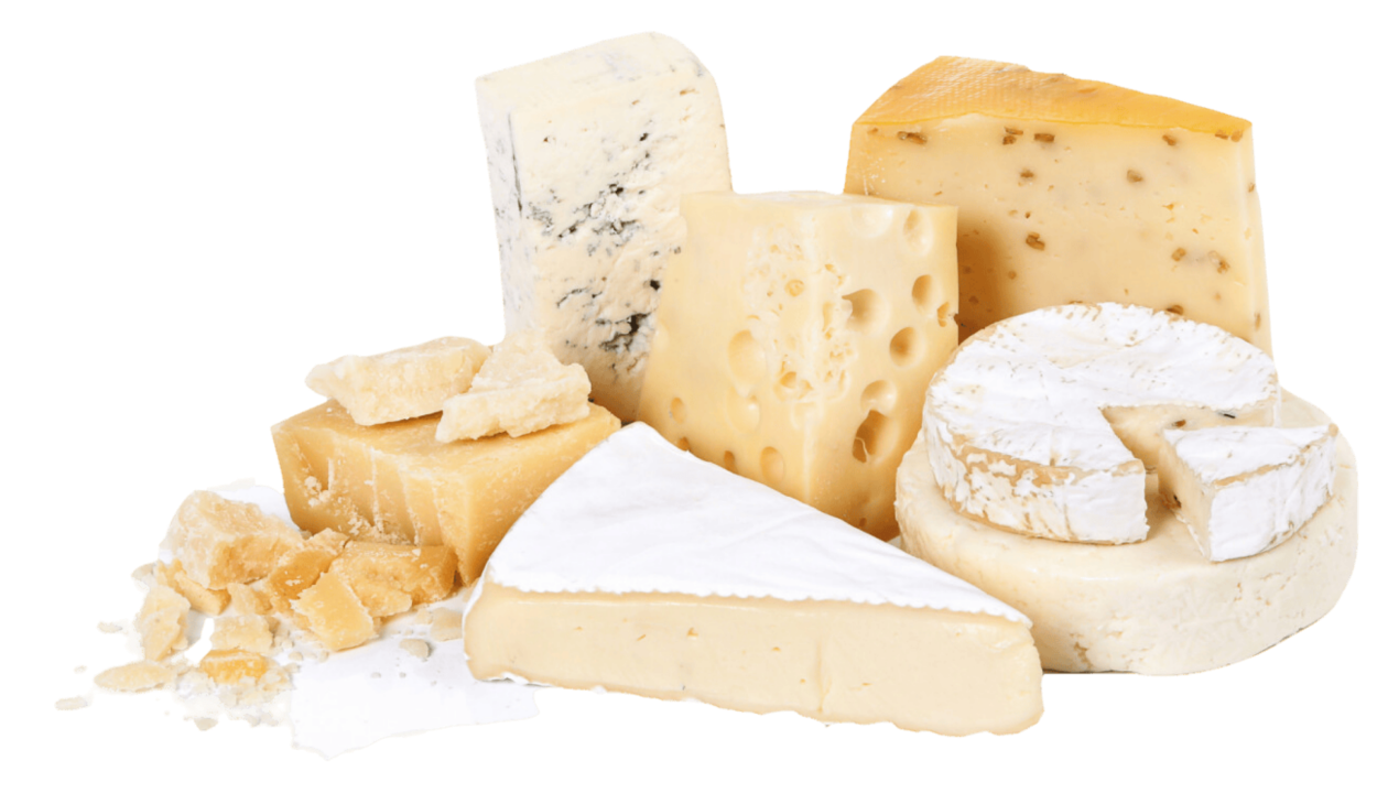 cheese